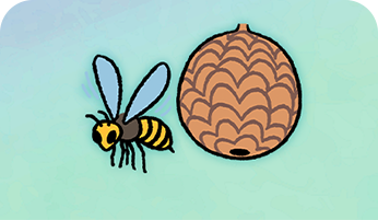 ハチ毒アレルギーってなあに？