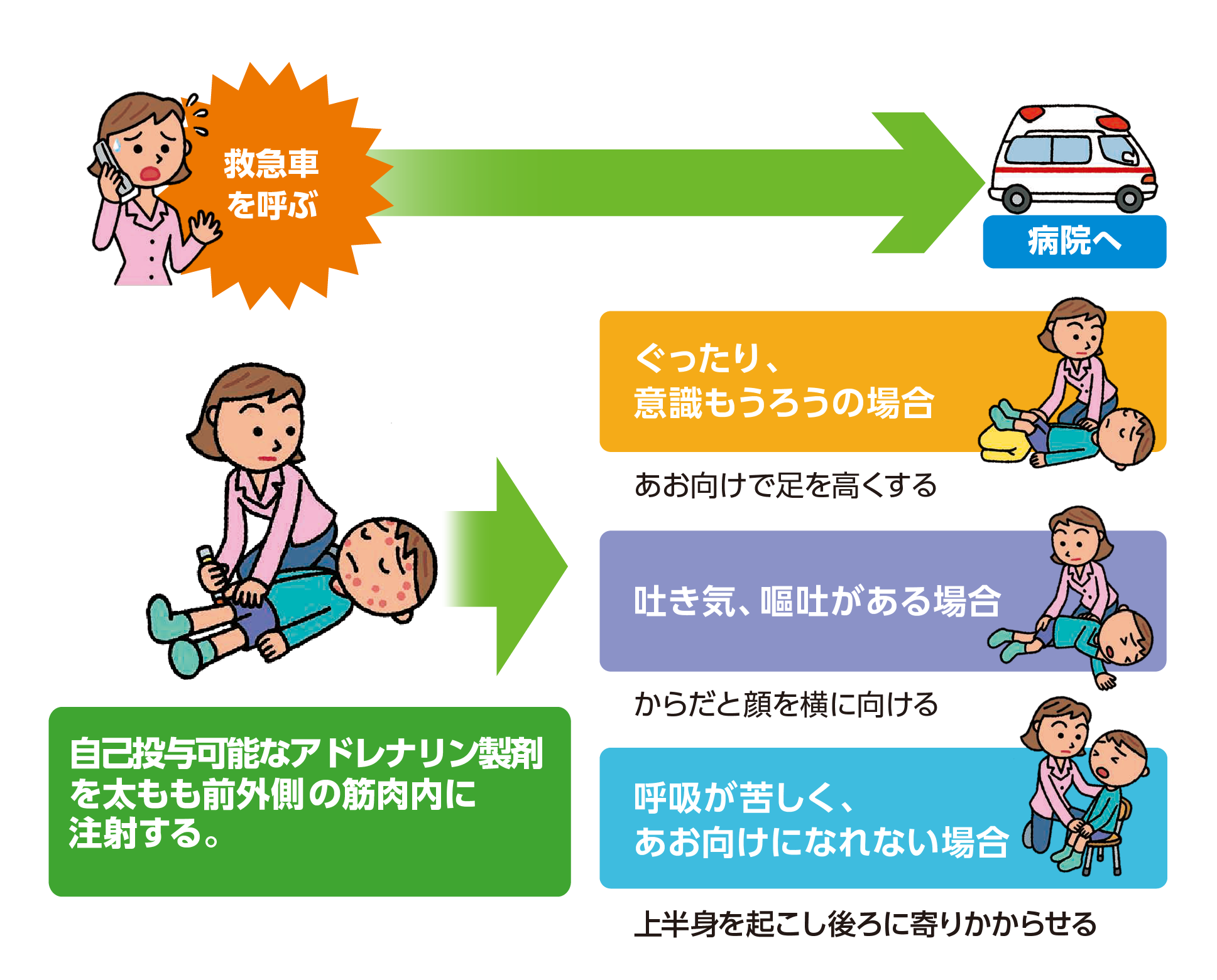 救急車を呼ぶ-病院へ、アドレナリン自己注射薬を太もも前外側の筋肉内に注射する。-ぐったり・意識もうろうの場合：あお向けで足を高くする、吐き気・嘔吐がある場合：からだと顔を横に向ける、呼吸が苦しく・あお向けになれない場合：上半身を起こし後ろに寄りかからせる